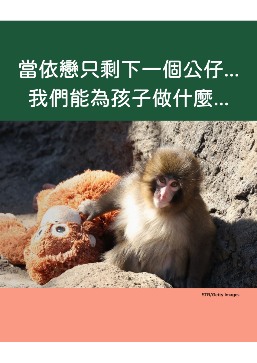 IG_Portrait_Posts_Panchi_FB_&amp;_IG_post