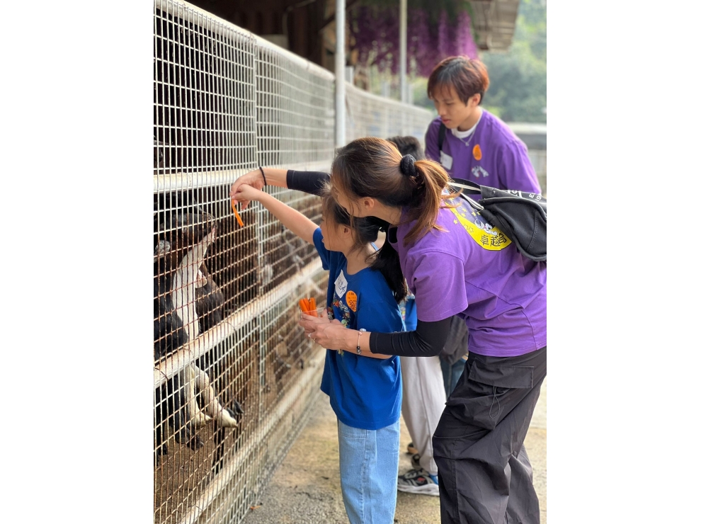 595517125_1275086984656989_4181301849912941338_n