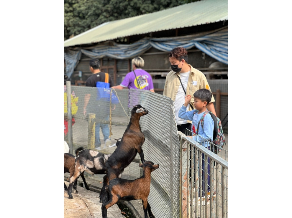 595610705_1275087051323649_5723757791013737289_n